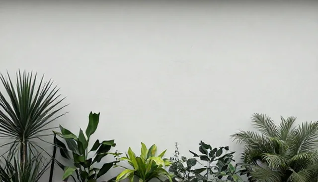 批发零售服务优化需注重场景分析与策略选择